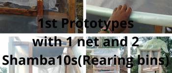 1_20260227_213847_0000