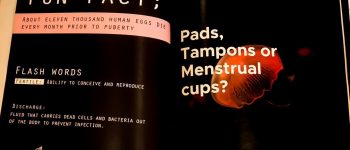 af042cc6-3b1e-4759-9911-b2dbeedd602c