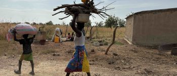 Woman collecting firewood